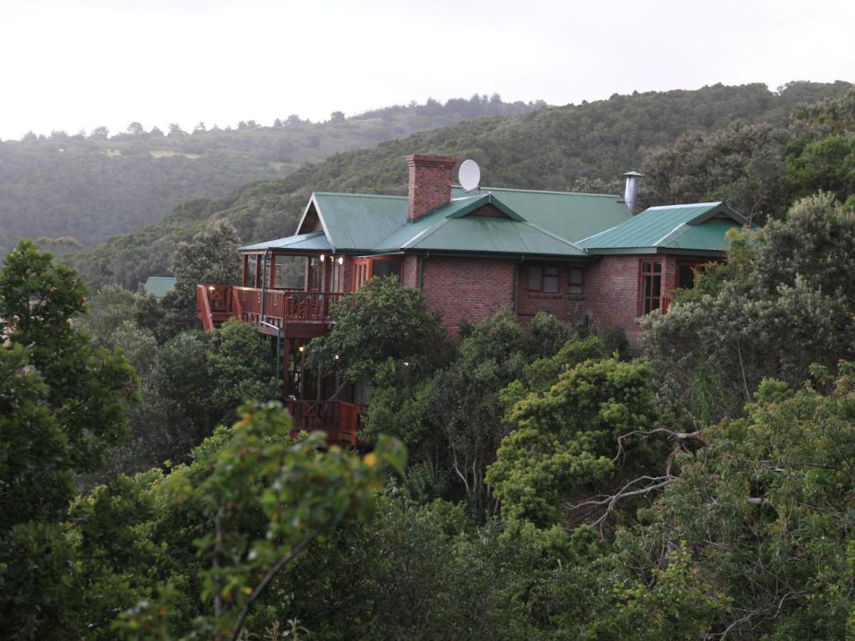 Luxury Studio - Panoramic Ocean Views - Fast Wifi Wildernis Buitenkant foto